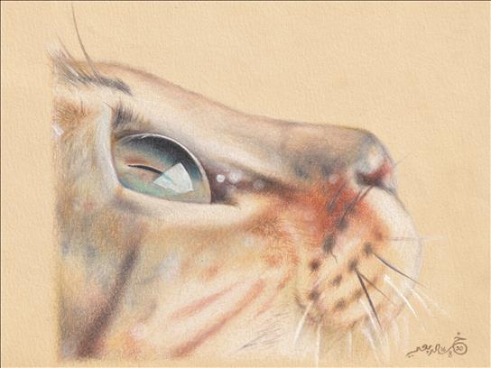 art image