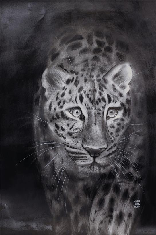 art image
