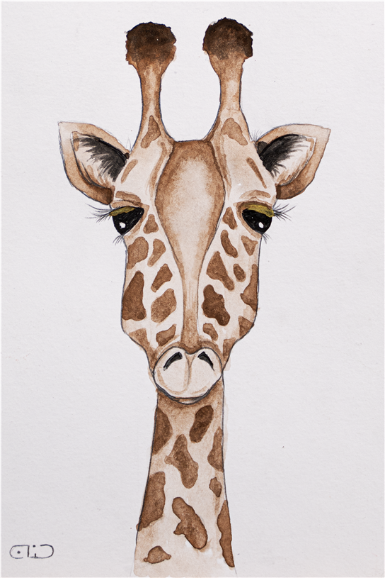 art image